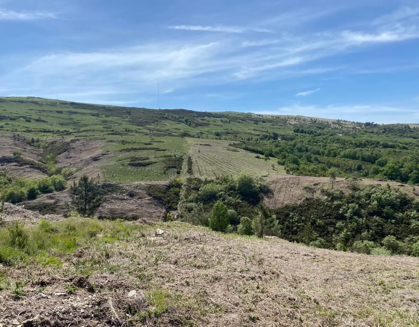 Monte de Couso, en Avión (Ourense), donde está Bosque Galicia II