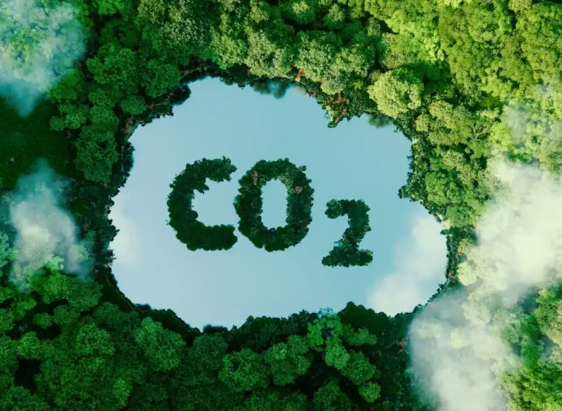 Calcular y reportar la huella de carbono