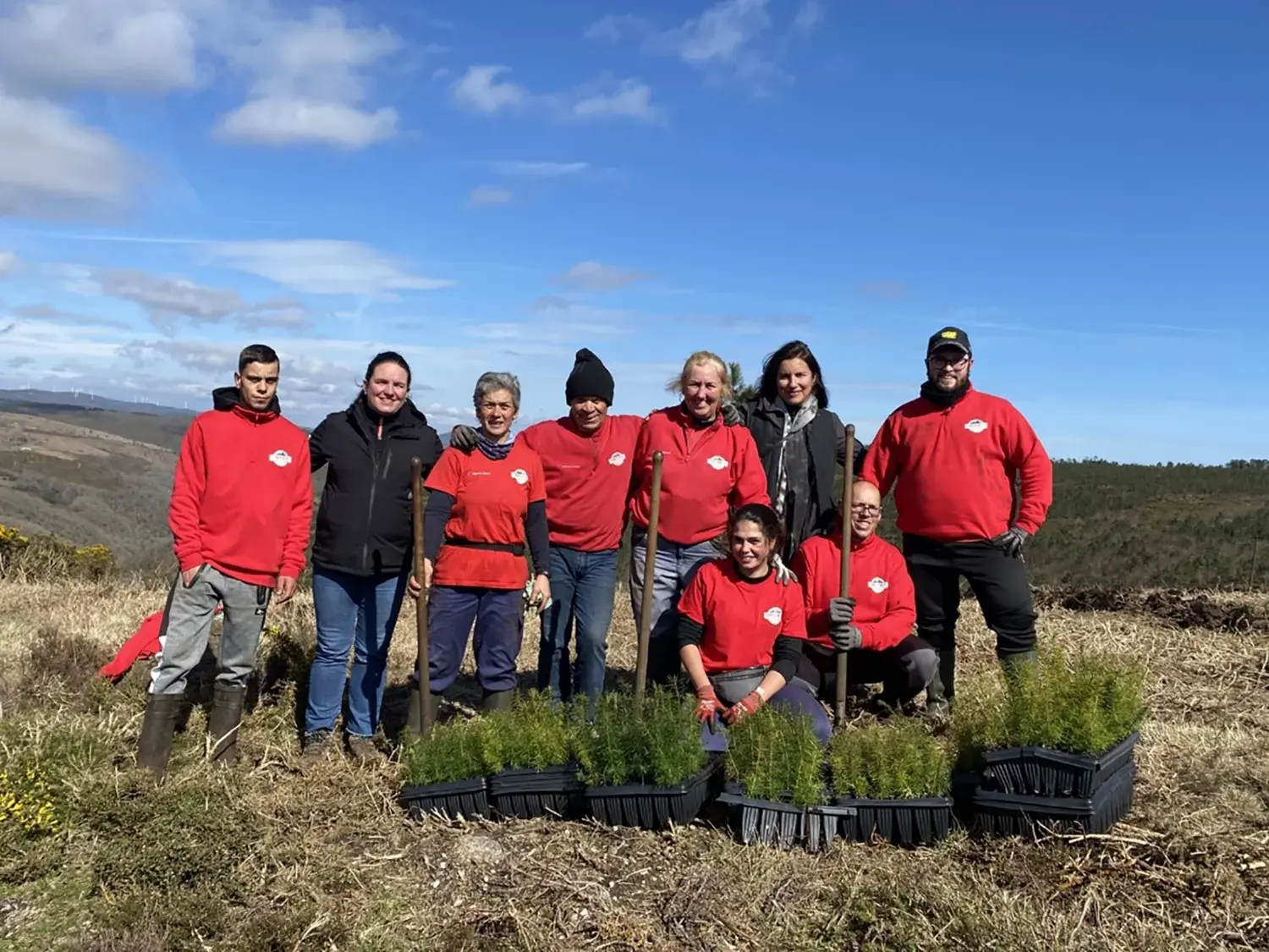 Cuadrilla de plantación, con varias mujeres, junto a bandejas de plantones en el monte