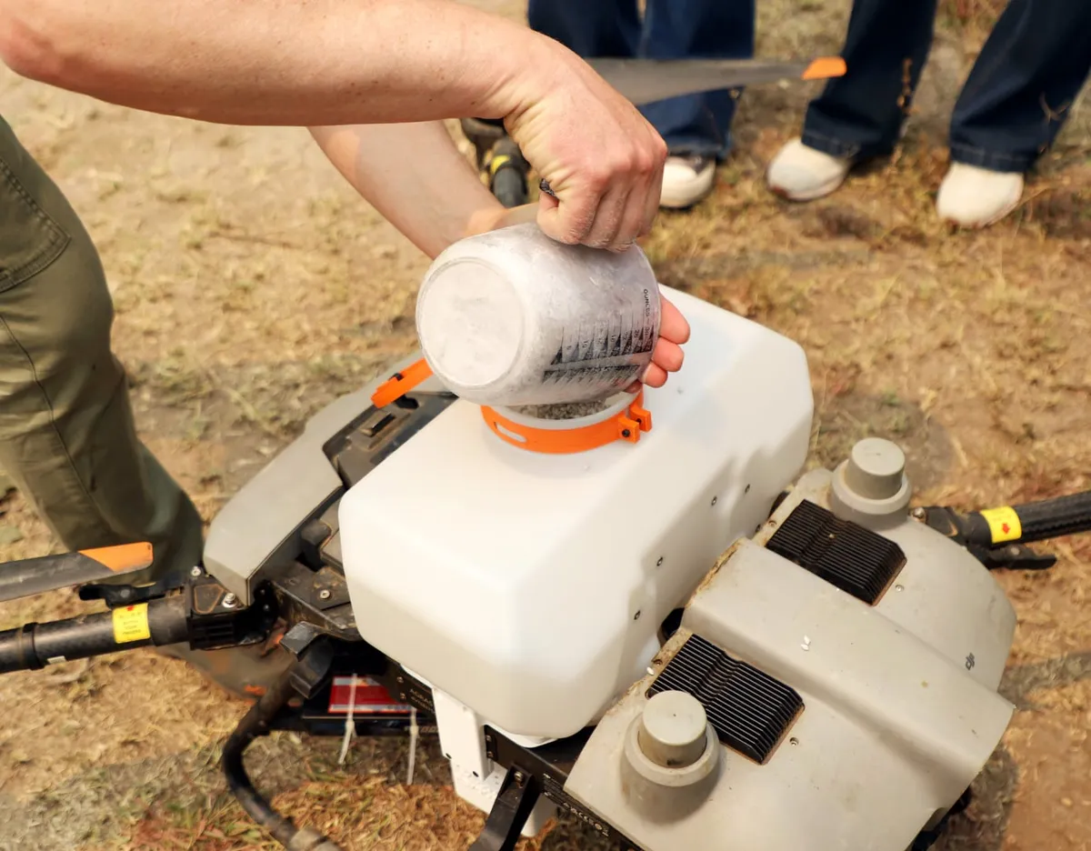 Carga de semillas en el dron de siembra