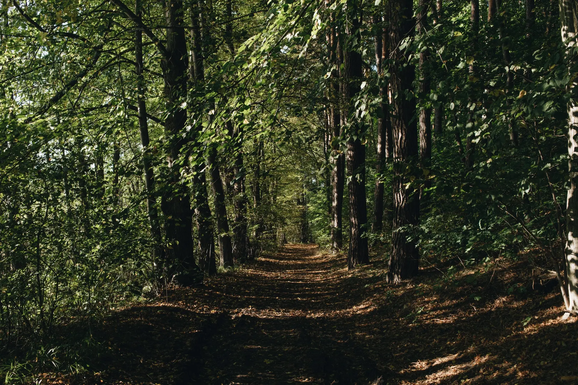 Ley de Restauración de la Naturaleza