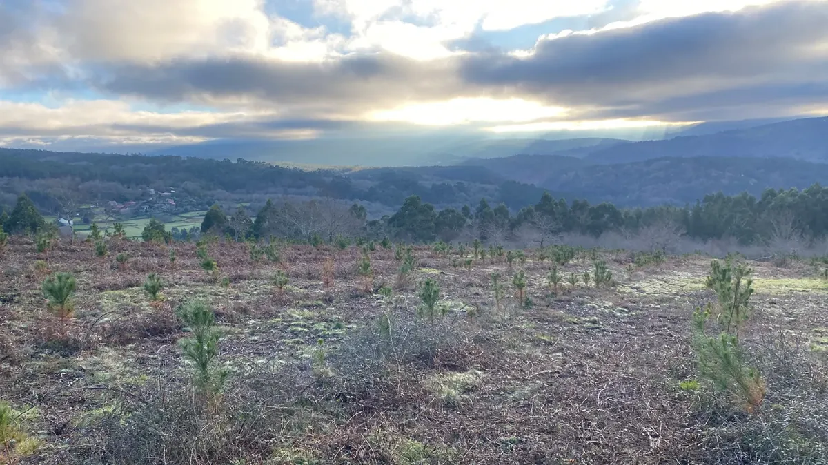 Repoblación de Vilar con el valle al fondo